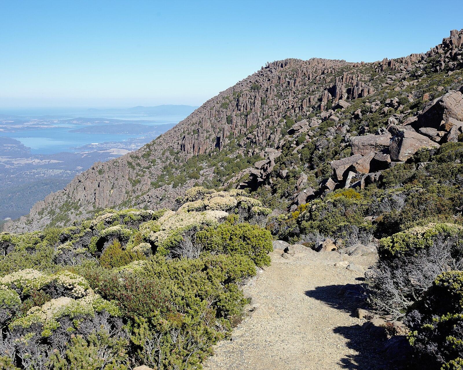 Tasmanian Scientists Shed Light on the Real Impact of Outdoor Wellness Routines