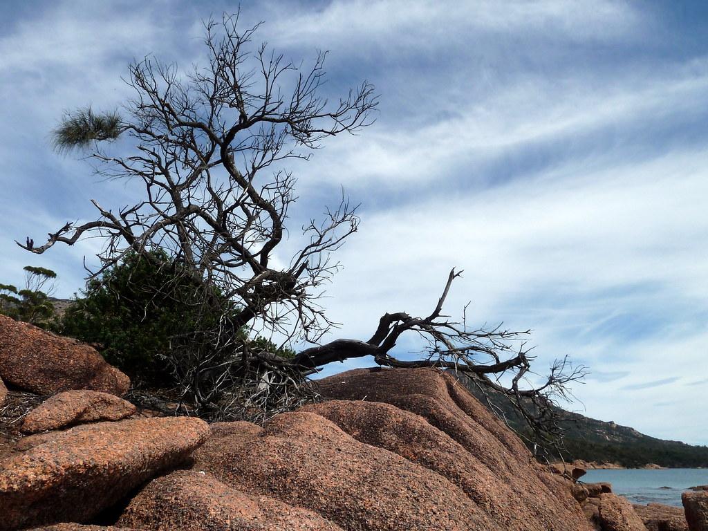 Wellness Event PPWR Comes to Hobart Wednesday, July 8